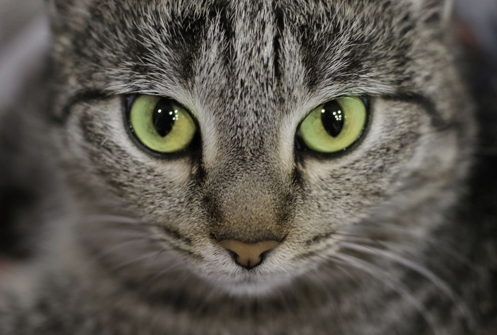 Photograph by Интэро Тиллен