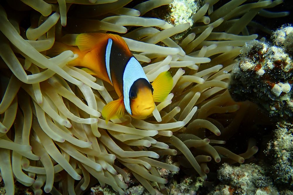 Photograph by Рушана Баженова