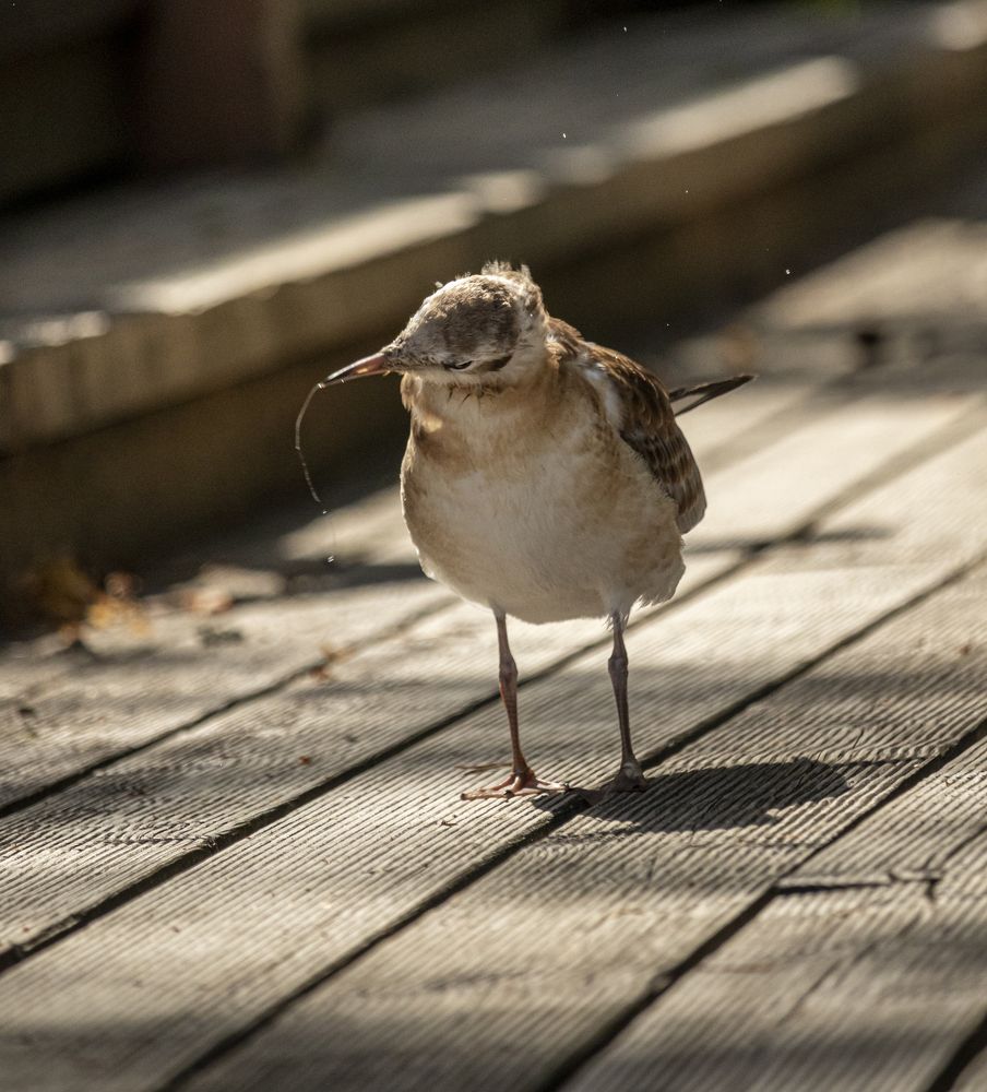 Photograph by Юлия Куликова