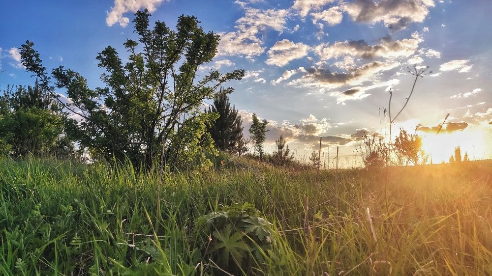 Photograph by Николай Писецкий