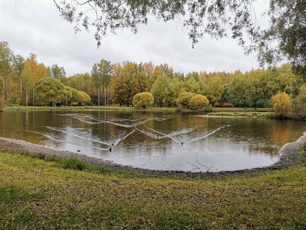 Photograph by Дмитрий Кочетков