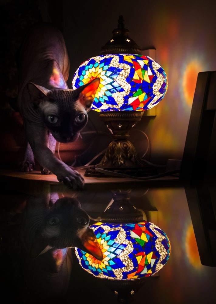 Photograph by Александрова Ольга