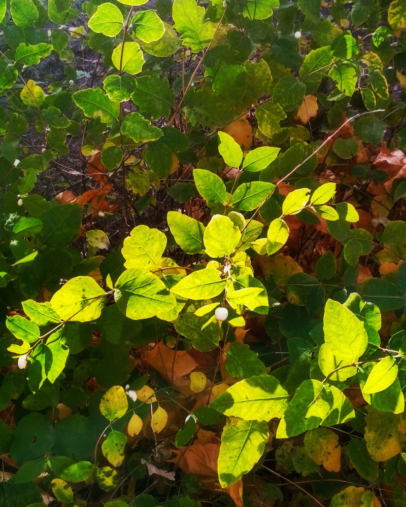 Photograph by Евгений Волосков