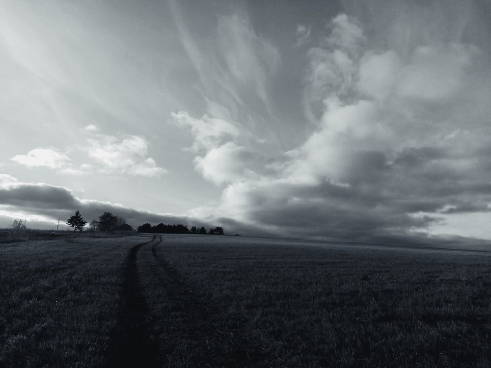 Photograph by Ирина Анкушина