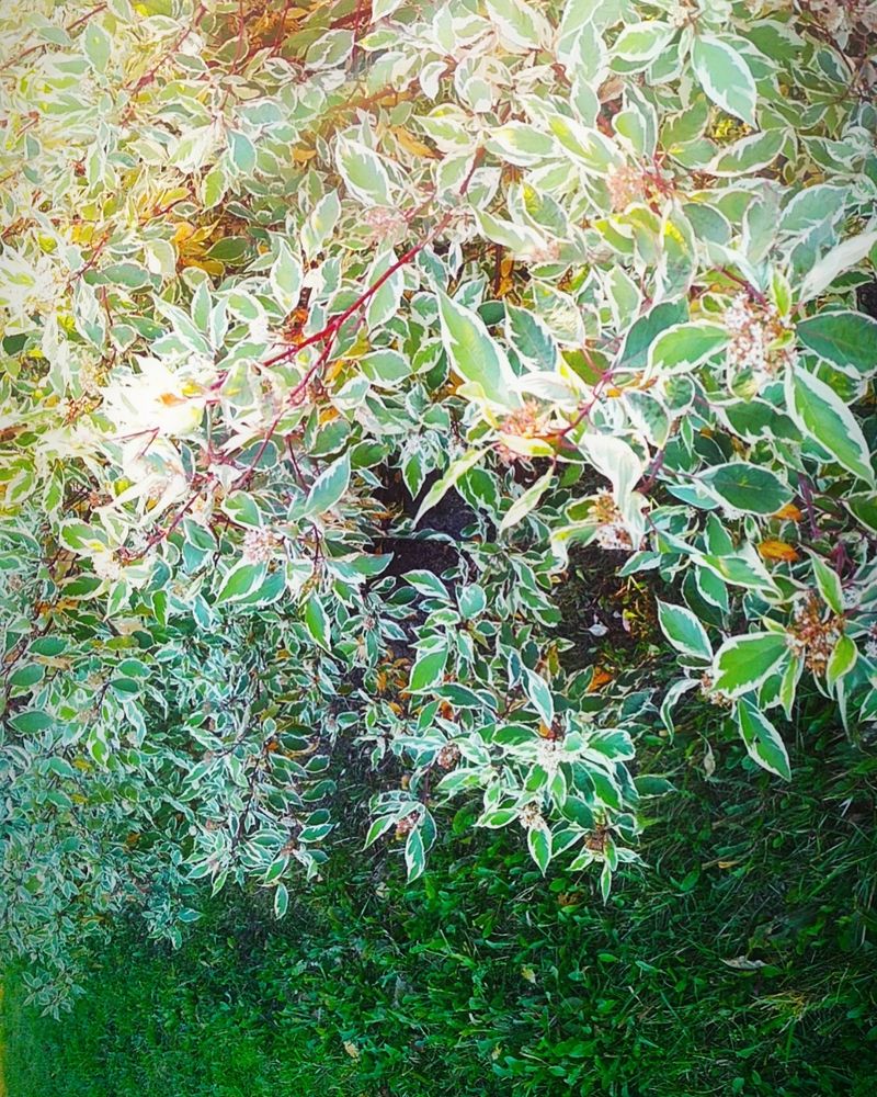 Photograph by Евгений Волосков