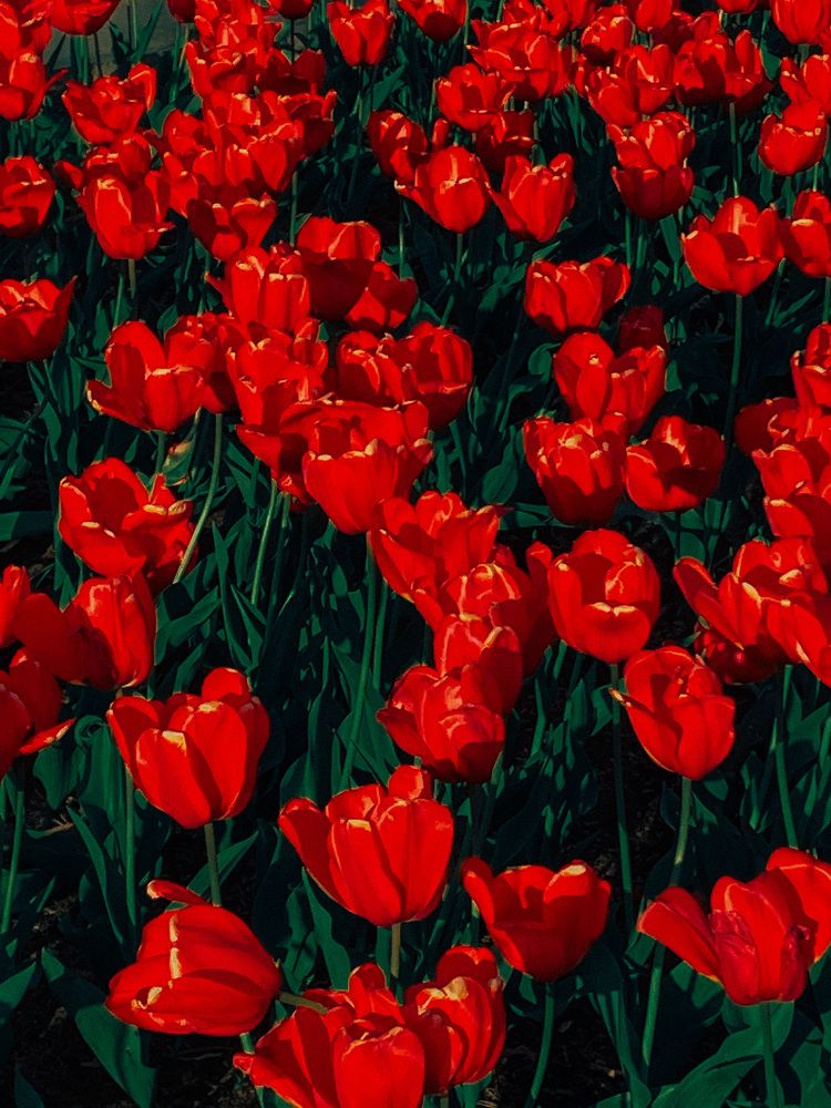 Photograph by Роман Закиров