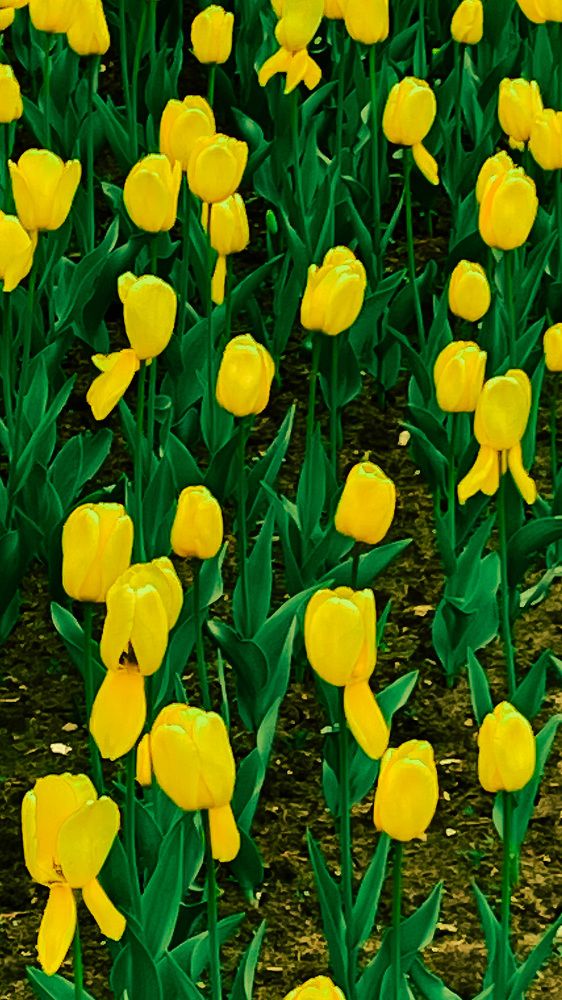 Photograph by Роман Закиров