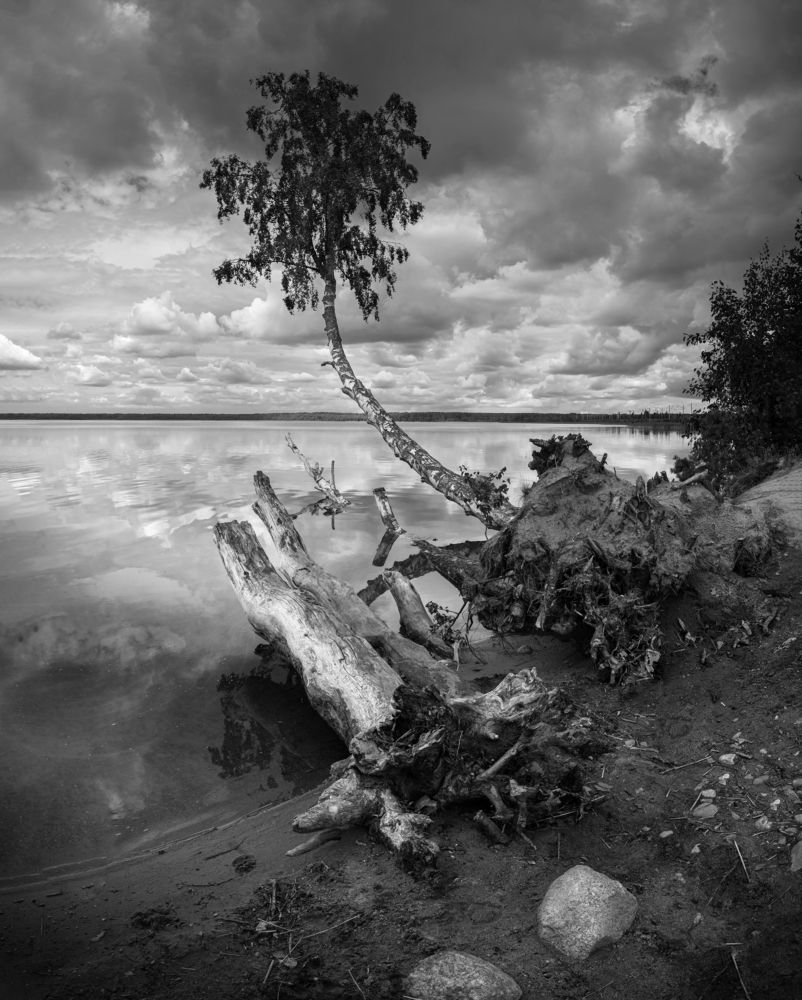 Photograph by Евгений Волосков