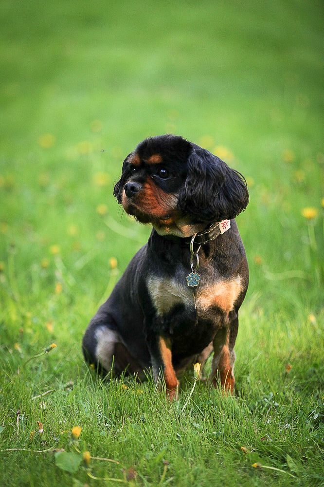 Photograph by Анатолий Буянов