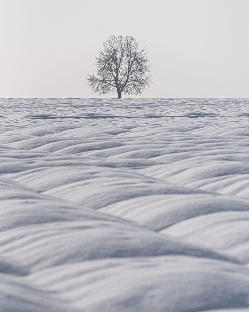 Photograph by madhur nangia