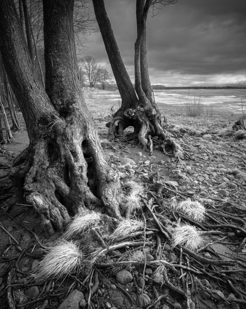 Photograph by Евгений Волосков