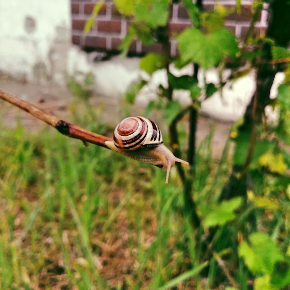 Фотография автора Ratsam