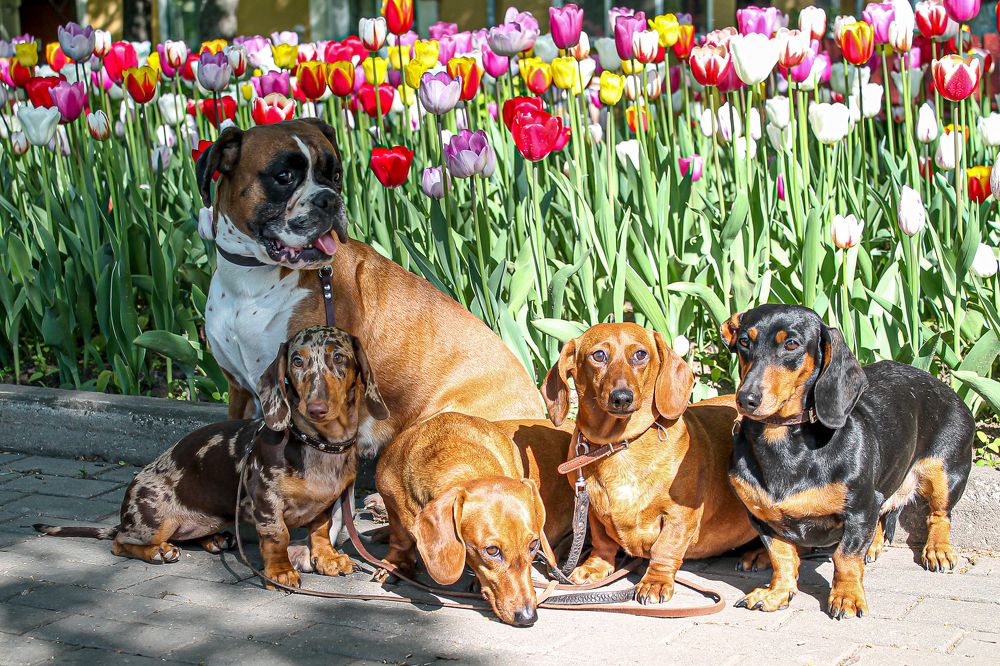 Photograph by Елена Лотник