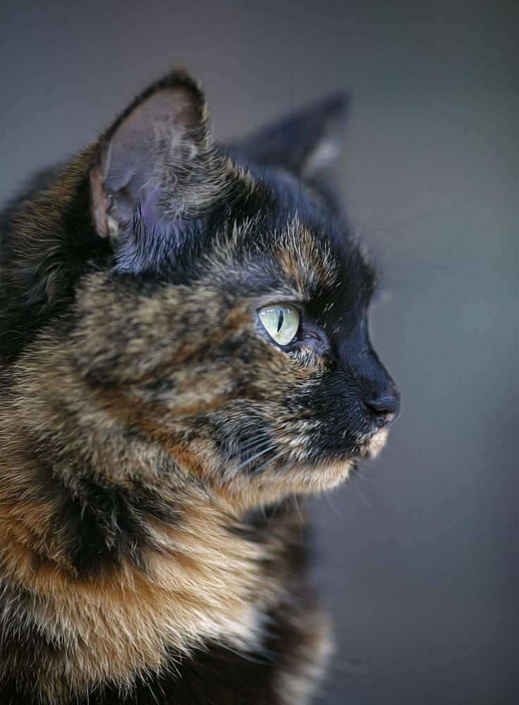 Photograph by Игорь Хижняк