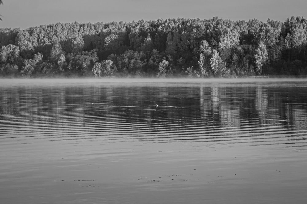 Photograph by Елена Лотник