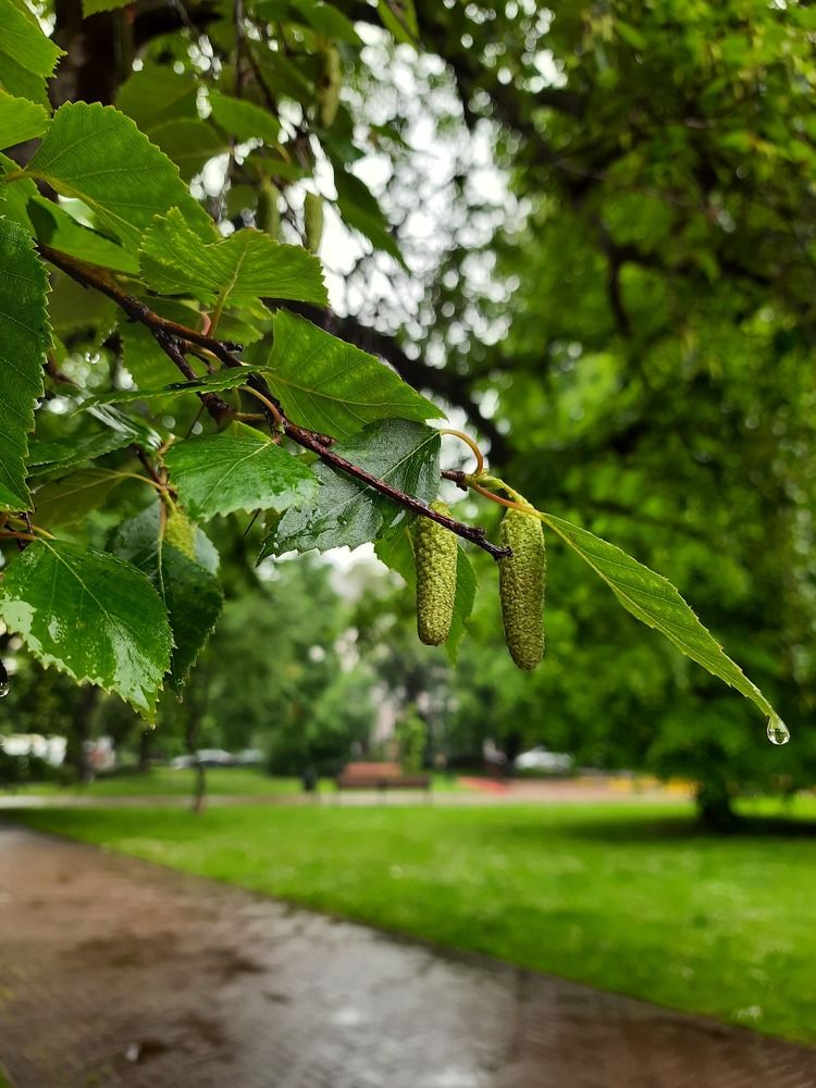 Photograph by Наталья Ткаченко