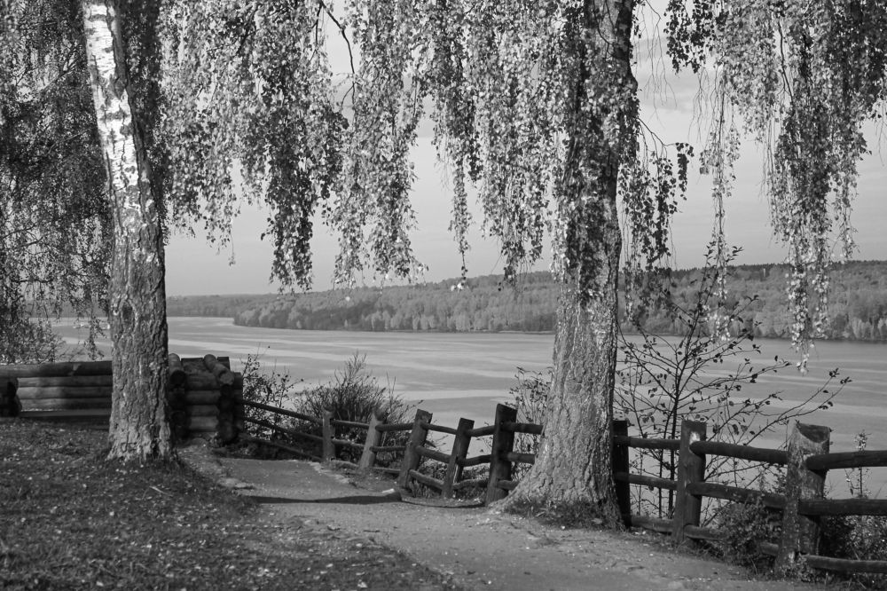 Photograph by Елена Лотник