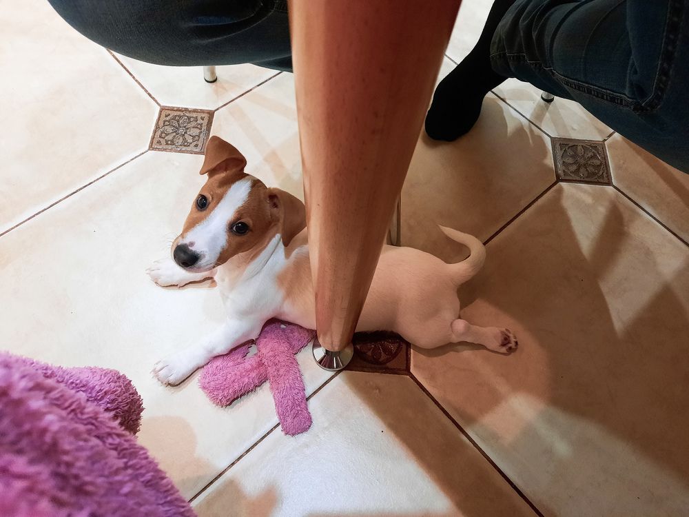 Photograph by Анатолий Григорьев