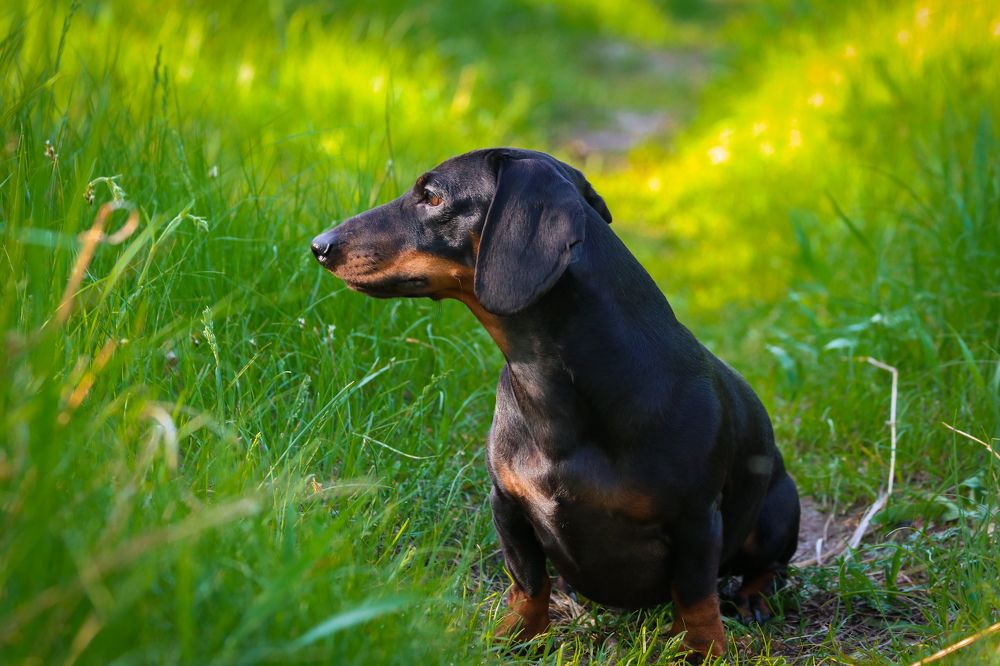 Photograph by Дмитрий Тимин