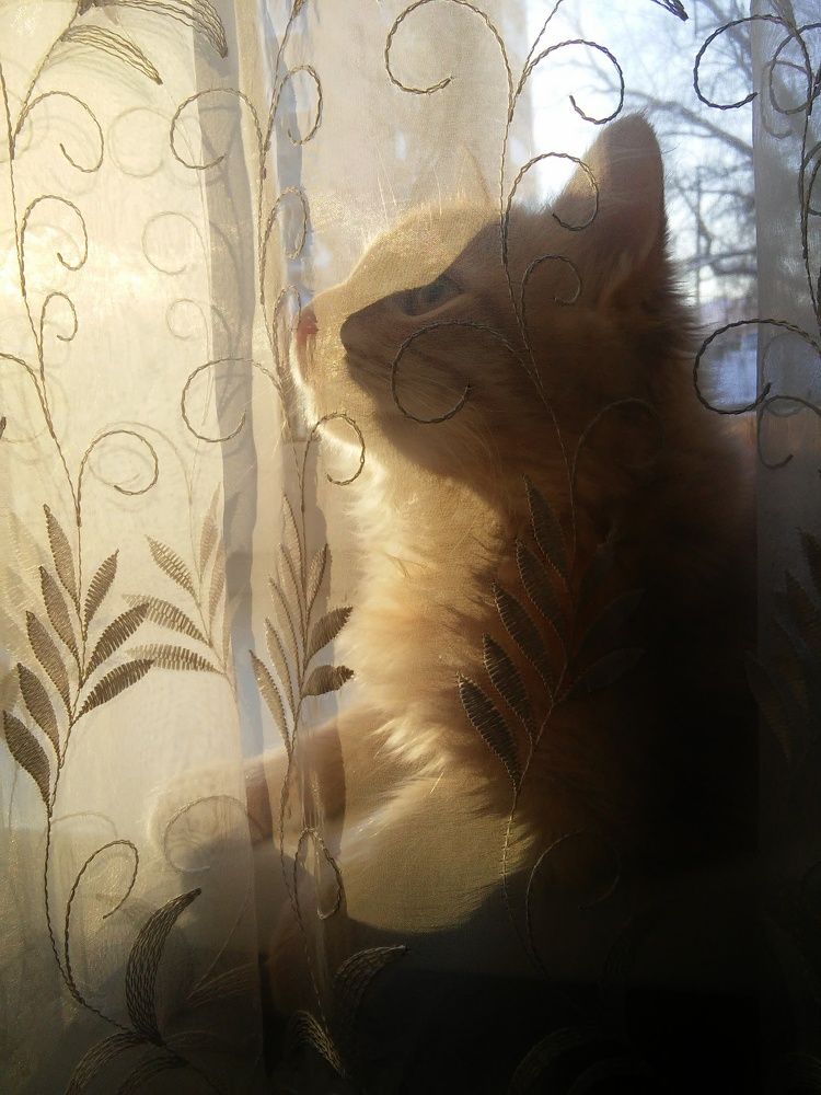 Photograph by Юлия