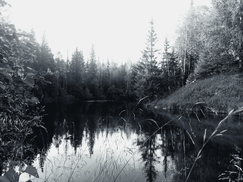Photograph by Ирина Анкушина
