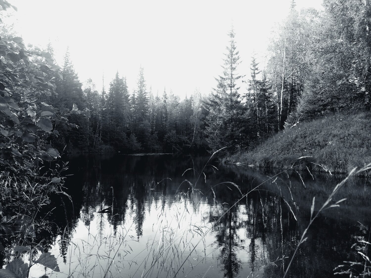 Photo #7646318