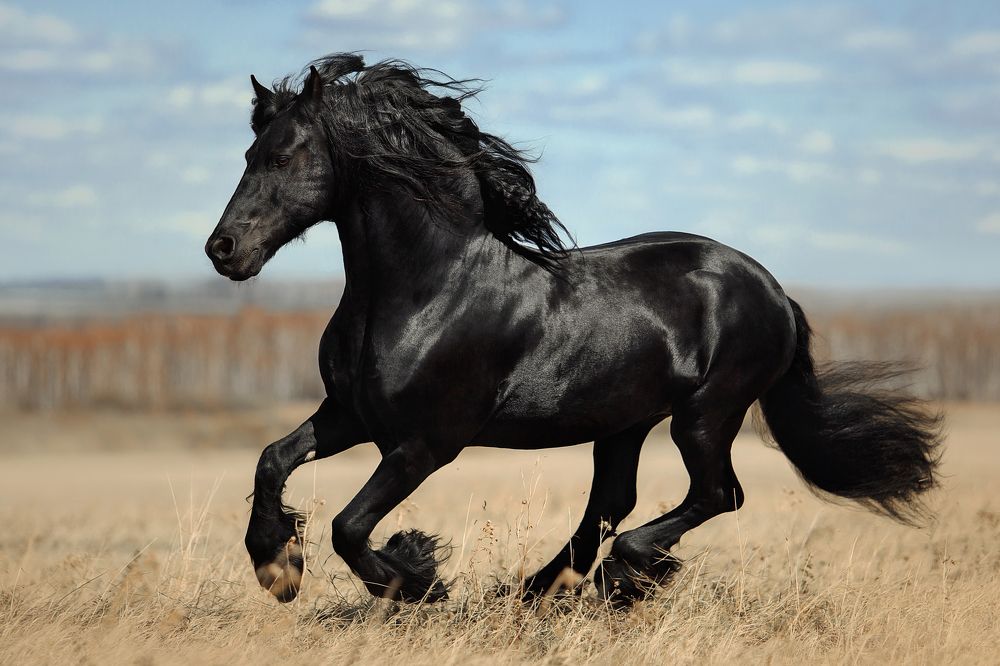 Photograph by Дарья Ералева