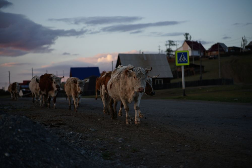 Photograph by Анна Воронова