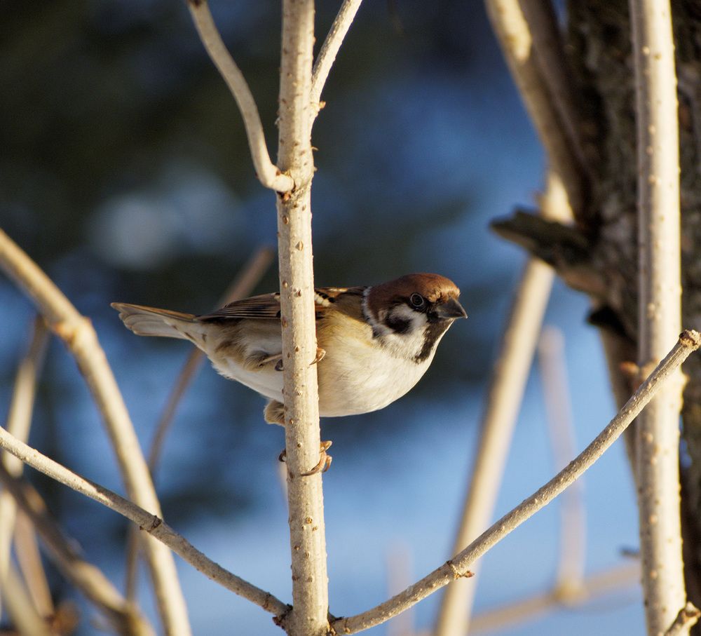 Photograph by Павел Кулинич