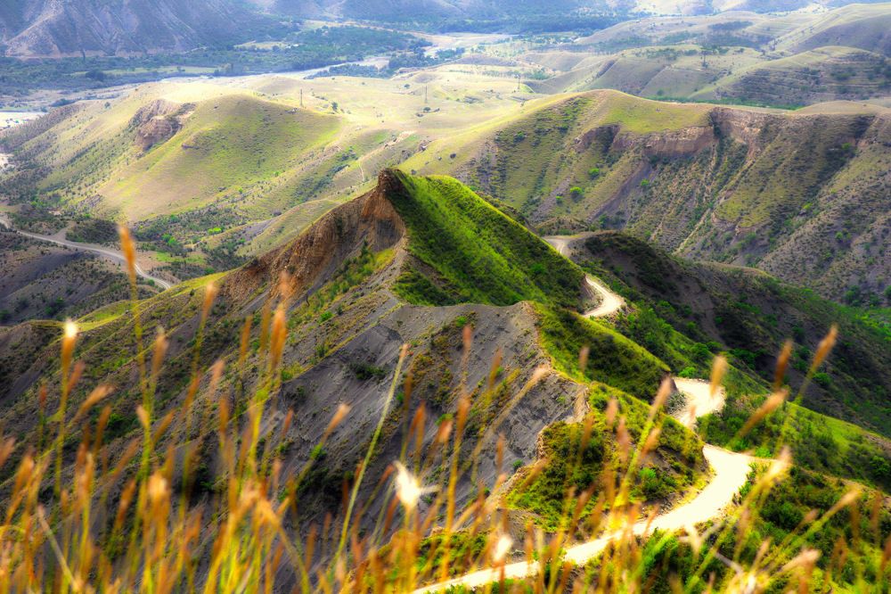 Photograph by Anna Perevozchikova