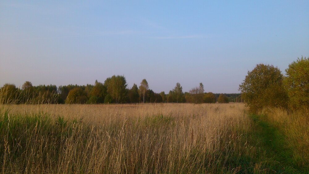 Photograph by Волкова Владимира