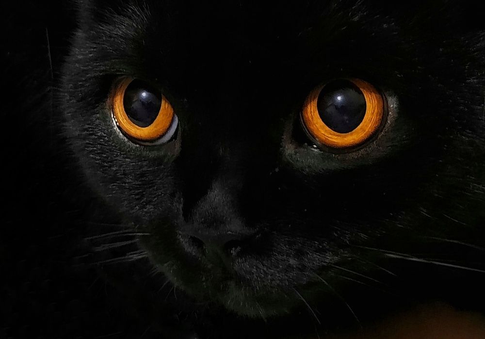 Photograph by Ольга Ларизадех