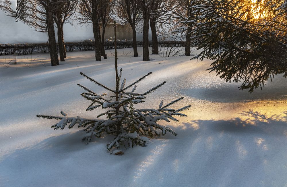 Маленькой елочке холодно зимой