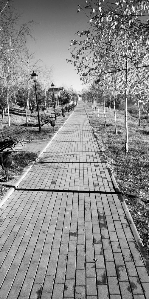 Photograph by Сергей Зиньковский