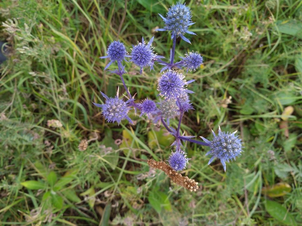 Photograph by СТЕПАН ДЖУЛАКИДЗЕ