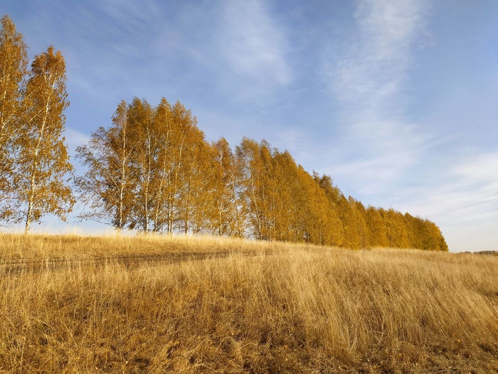 Фотография автора Алексей Самойлов