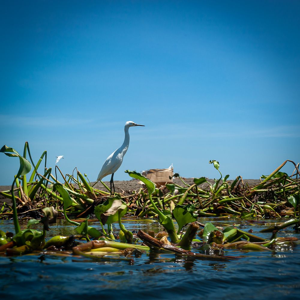 Photograph by Armando Lopez-Guerrero