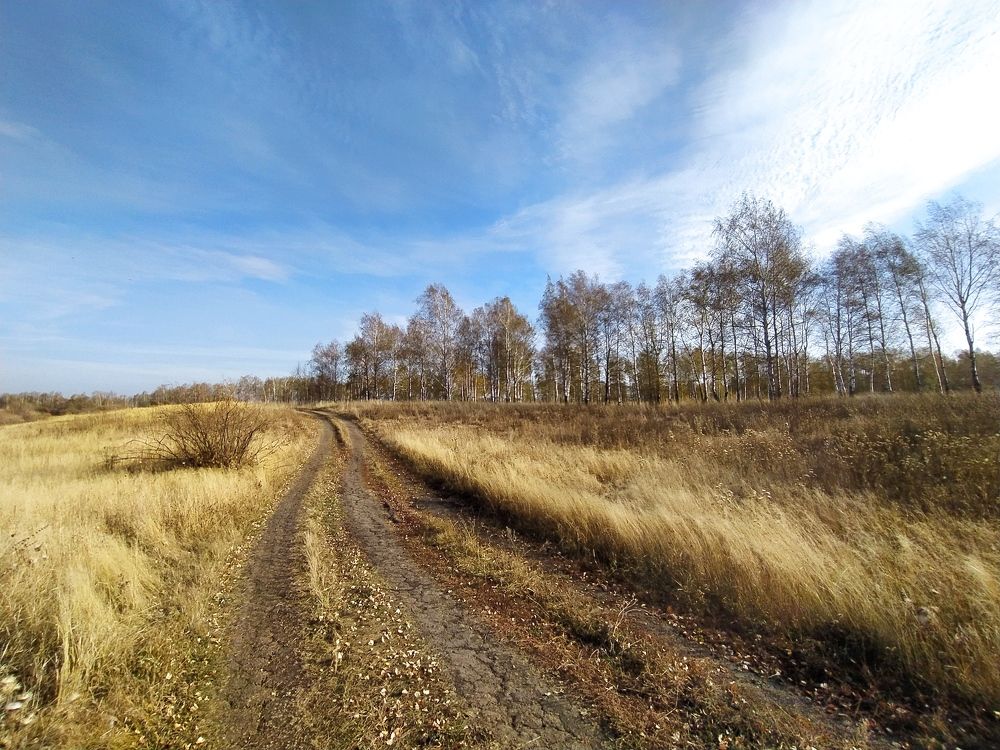 Фотография автора Алексей Самойлов