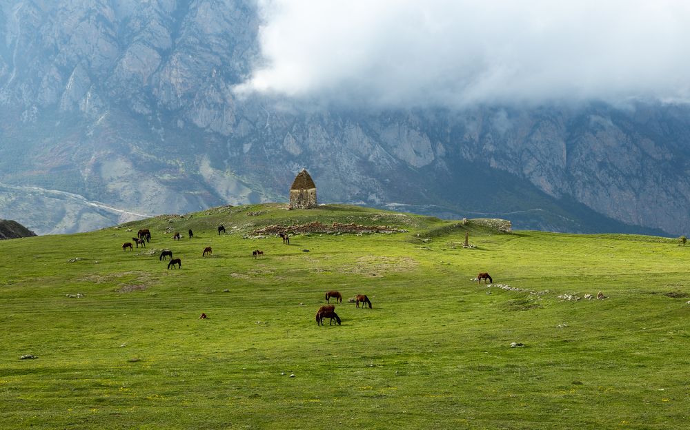 Фотография автора Олег Кожухов