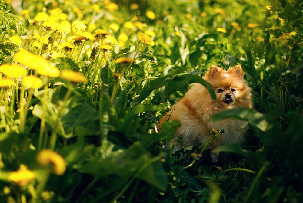 Photograph by Екатерина Крыга