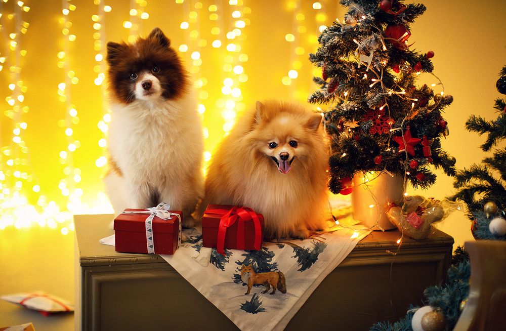 Photograph by Екатерина Крыга