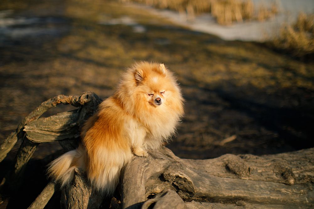 Photograph by Екатерина Крыга