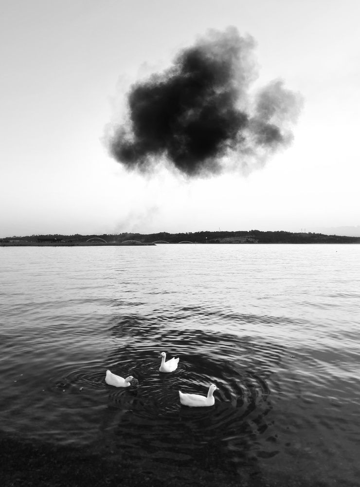 Photograph by Mohammad Jalilzadeh