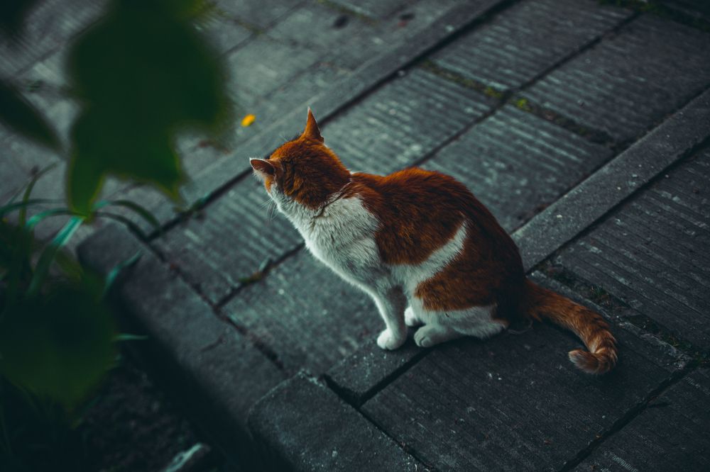 Photograph by илья кутузов