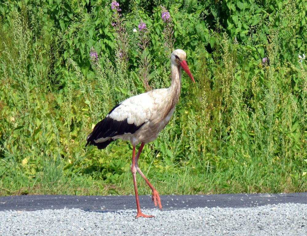 Photograph by Pjotr Alekseev