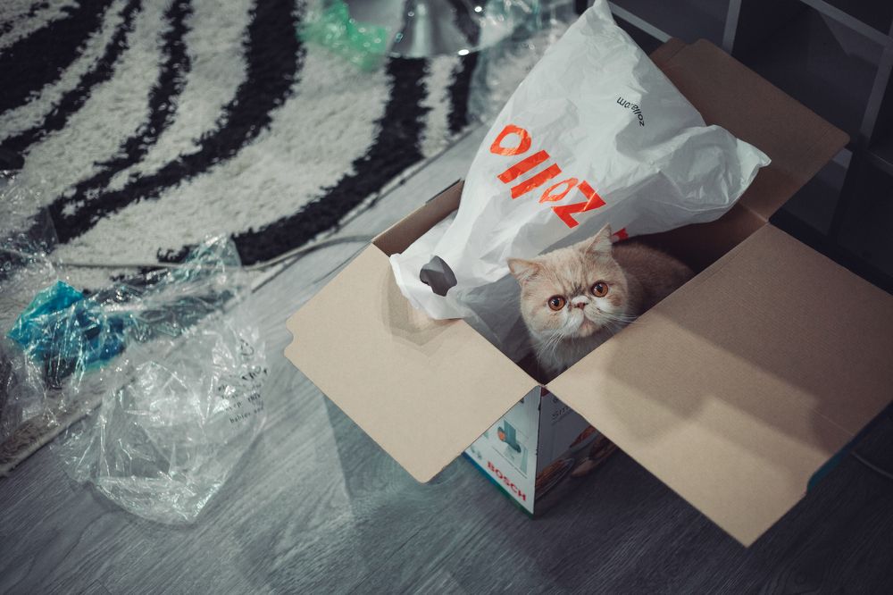 Photograph by илья кутузов