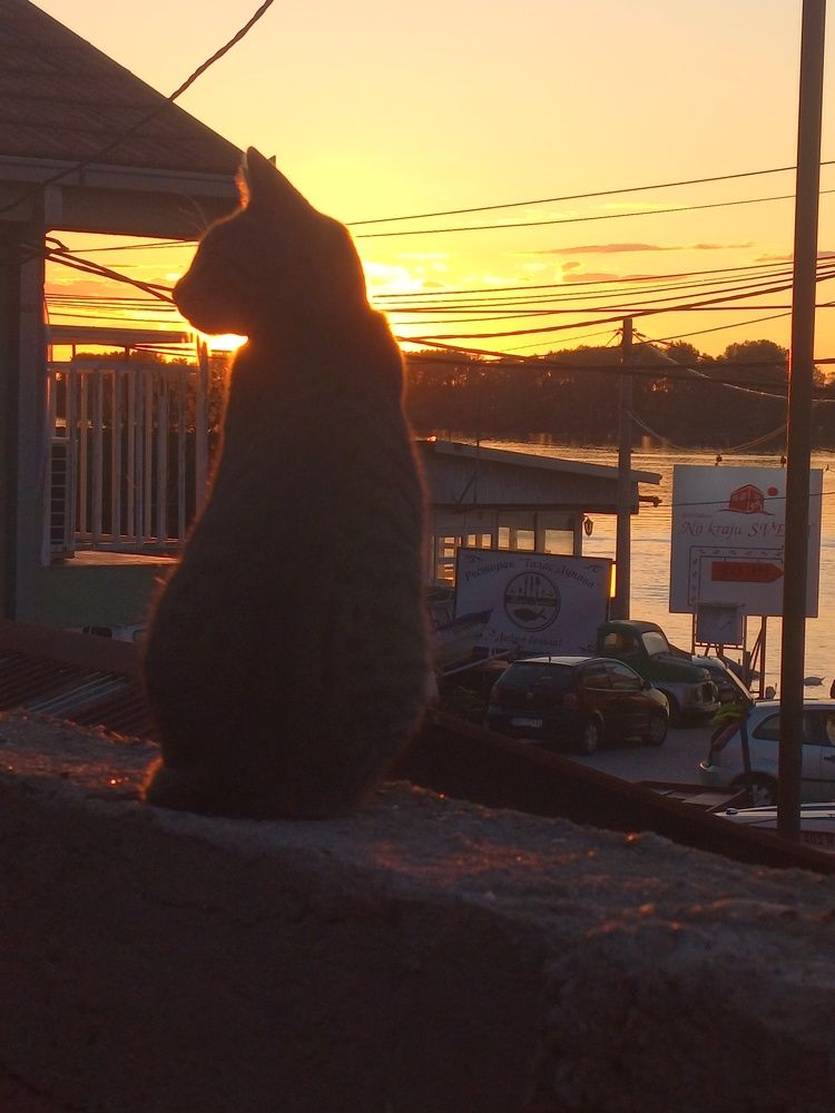 Фотография автора Tanja Grdijan