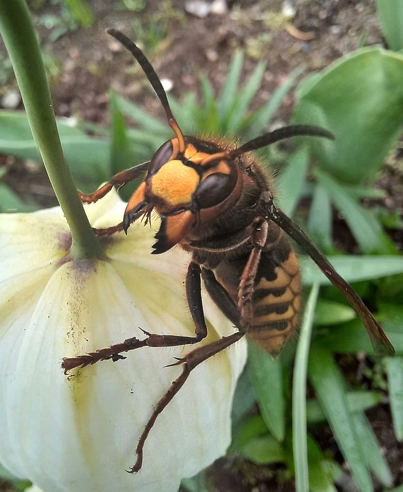 Photograph by Евгений Савулькин