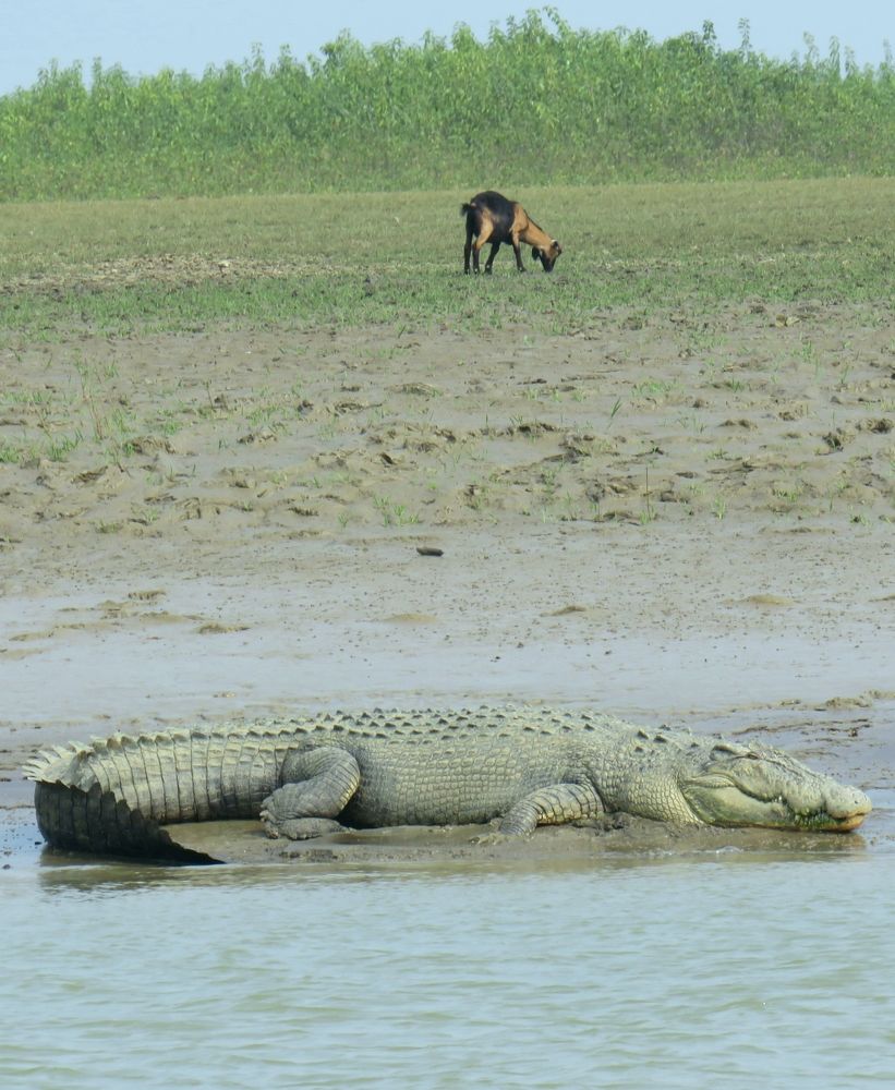Photograph by Ranjan kumar Patra
