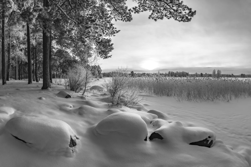 Photograph by Максим Сорокин